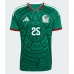 Mexiko Roberto Alvarado #25 Heimtrikot EM 2024 Kurzarm